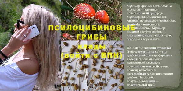 ALPHA-PVP Инсар