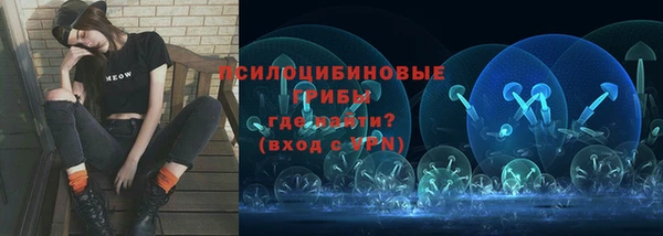 ГАЛЛЮЦИНОГЕННЫЕ ГРИБЫ Иннополис