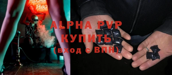 стаф Инта