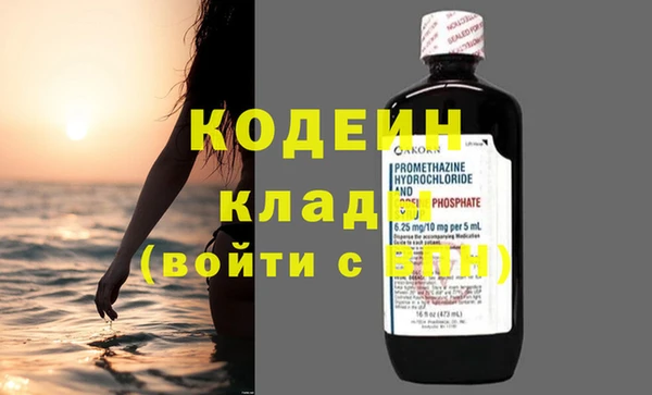 стаф Инта