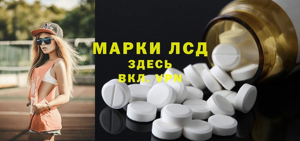 ГАЛЛЮЦИНОГЕННЫЕ ГРИБЫ Иннополис