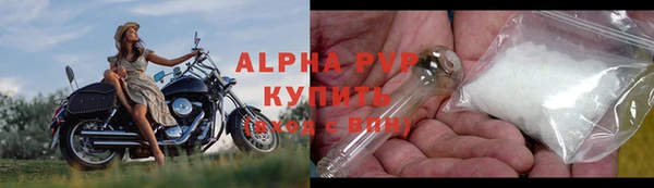 ГАЛЛЮЦИНОГЕННЫЕ ГРИБЫ Иннополис