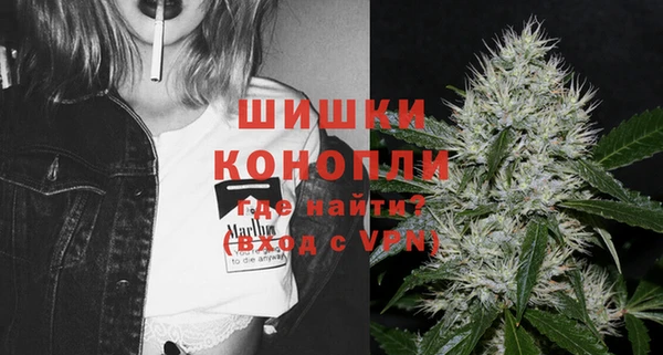 стаф Инта