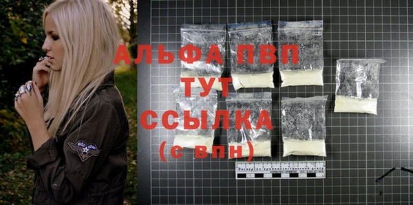 ГАЛЛЮЦИНОГЕННЫЕ ГРИБЫ Иннополис