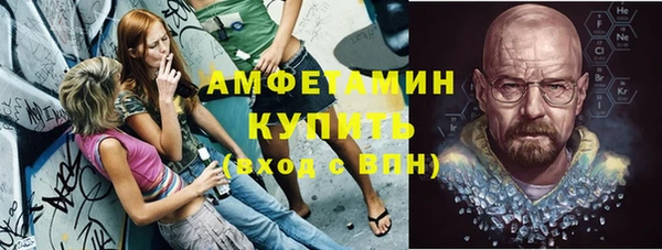 стаф Инта