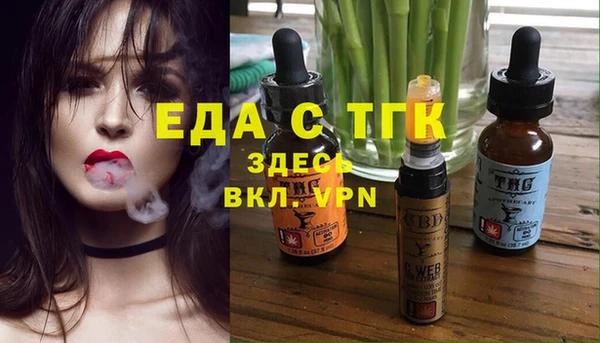 стаф Инта