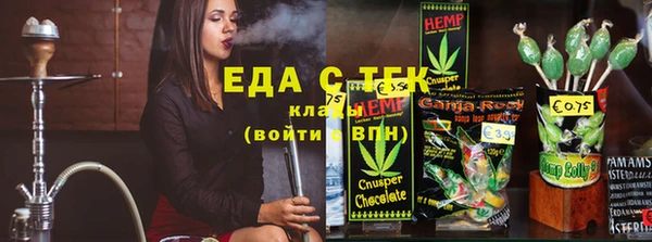 стаф Инта