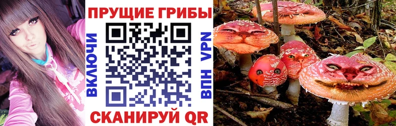 Псилоцибиновые грибы Psilocybine cubensis  Купить где  Гаврилов-Ям 